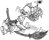 Maya - bild 2