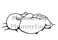 Zzzzz - bild 2