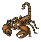 Skorpionen